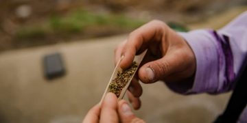 Каннабис может снизить тягу к некоторым видам наркотиков