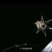 Лунный посадочный модуль американской компании был запущен на ракете Falcon SpaceX
