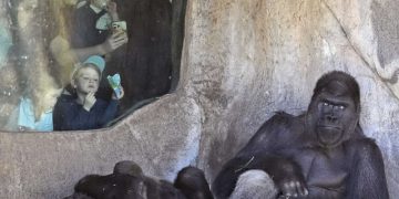 Как реагируют животные на полное солнечное затмение? Ученые планируют выяснить это в апреле