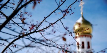 В РПЦ выразили надежду на принятие в 2024 году закона о многодетных семьях