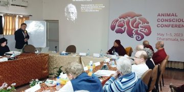 Академик Анохин: декларация о сознании животных поможет изучать разум