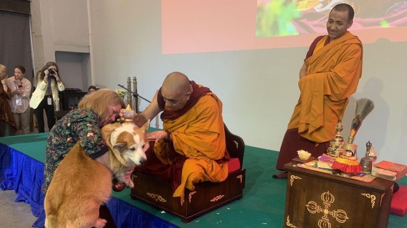 Буддийские монахи благословили животных на фестивале в Москве