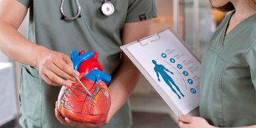 Новосибирские хирурги тестируют самораскрывающийся сердечный клапан