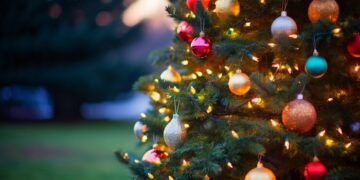 Покупка искусственных ёлок и украшений в интернет-магазине