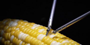 Робот-хирург от Sony сумел зашить кукурузное зернышко