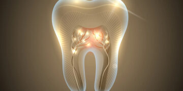 В сентябре начнутся испытания препарата для выращивания новых зубов