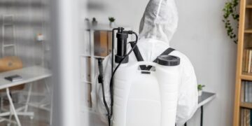 Профессиональное уничтожение насекомых и грызунов: гарантия результата и безопасности вашего дома