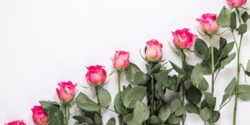 Элегантные композиции из высоких роз: идеи для свадебных и праздничных букетов