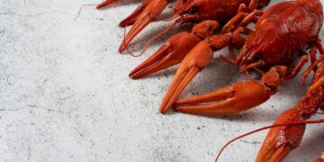 Вареные раки с доставкой: идеальная закуска к пиву