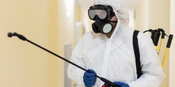 Эффективные методы борьбы с клопами: химические, народные и профессиональные способы