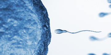 Планирование детей: советы и особенности после 35 лет