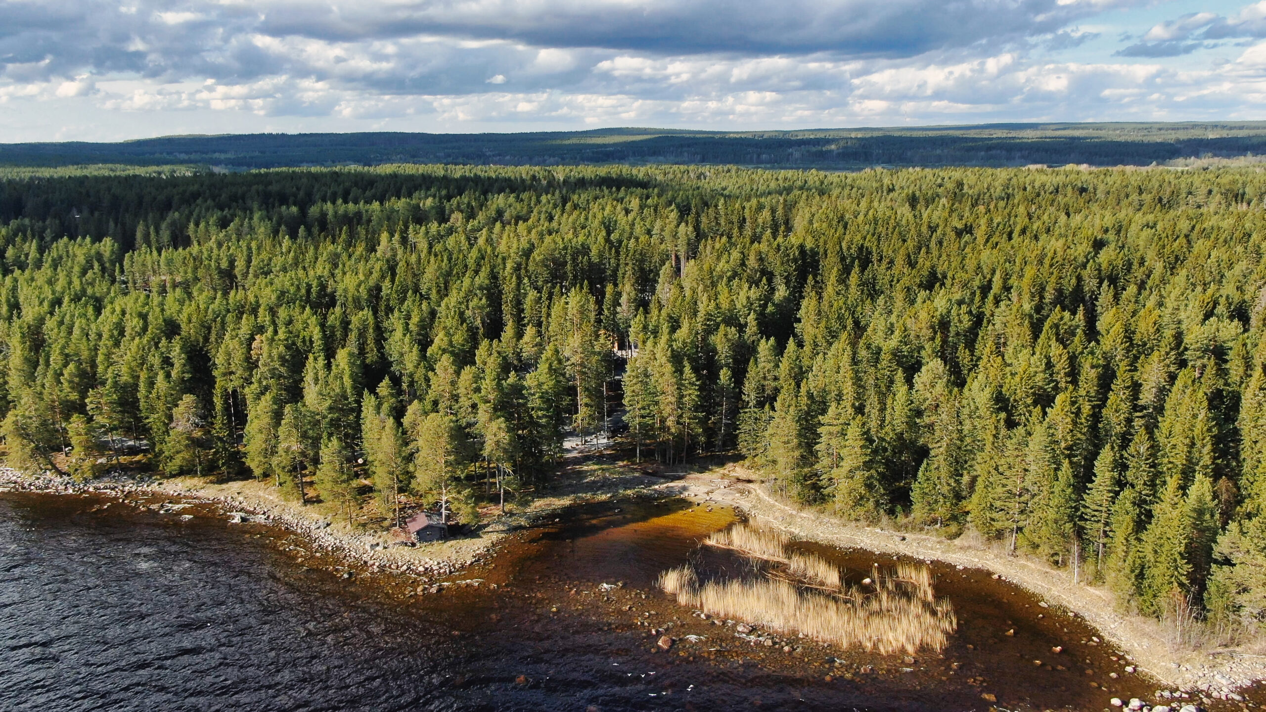 Рыбалка в Карелии и отдых на берегу Онежского озера