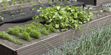 Грядки из ДПК